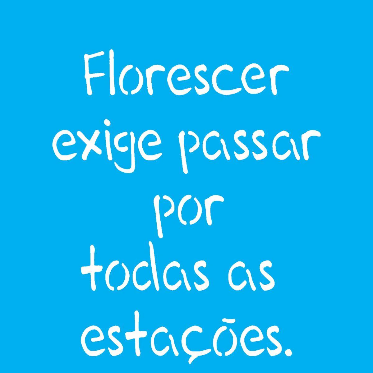 Imagem do produto 2